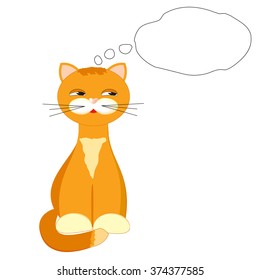 red cat on white background
