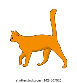 Red cat with a raised tail on a white background.
