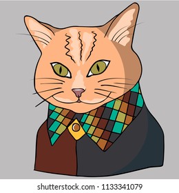 Red cat in shirt with checkered collar portrait of kitten