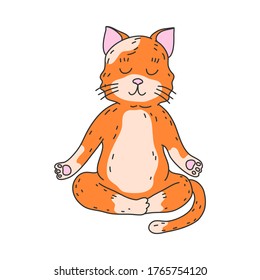 Red cat sitting and meditating in lotus pose