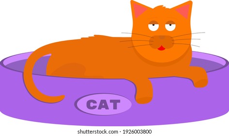 Red cat sleeps on his soft cozy pillow and looks relaxed.