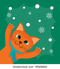 Red cat and snowballs