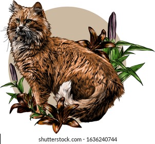 red cat stands tall with his tail between his legs round composition decorated with Lily flowers, sketch vector graphics color illustration on a white background