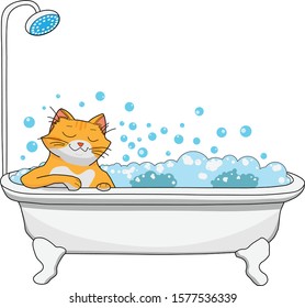 Red cat takes a bath filled with foam and bubbles, happy face