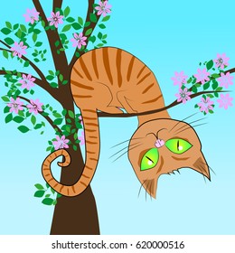 Red cat in a tree	