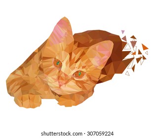 Red Cat triangle in low poly style, vector illustration