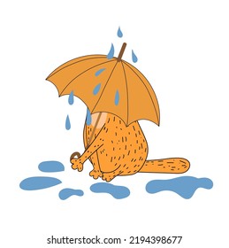 Red cat with an umbrella. Autumn, umbrella. Funny kitten. Cat on a walk. Doodle. Flat illustration. Vector.
