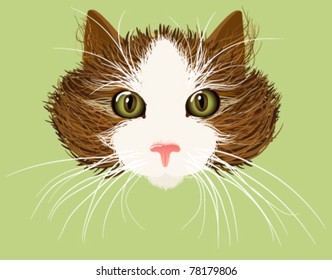 red cat vector