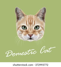 Red Cat. Vector Illustrated Portrait of Domestic Cat on green background.