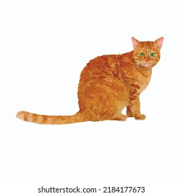 Red cat vector illustration. Kitten hand drawn picture. Cat on white background. Feline. Kitty watercolor style. Decor for greeting card, logo and design.