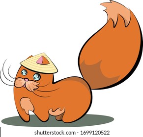 red cat in a vietnamese hat