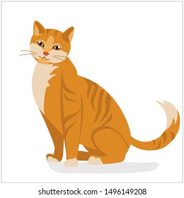 Red cat.Illustration .Cute cat with stripes. nice realistic pet sitting and smiling. vector isolated