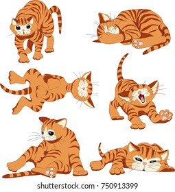 red cats. sketch. set