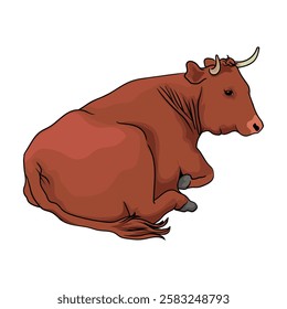 red cattle with white background