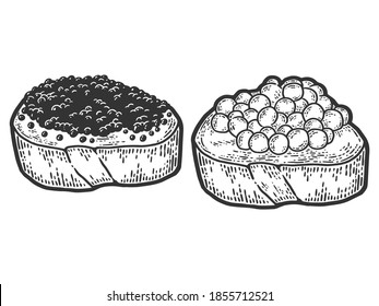 Red caviar and beluga caviar, sandwich. Engraving vector illustration.