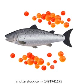 Red caviar and salmon on a white background vector illustration.