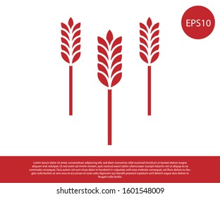 Red Cereals set with rice, wheat, corn, oats, rye, barley icon isolated on white background. Ears of wheat bread symbols.  Vector Illustration