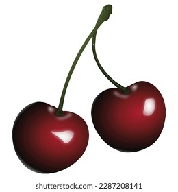 Red Cheery Illustration Vector File