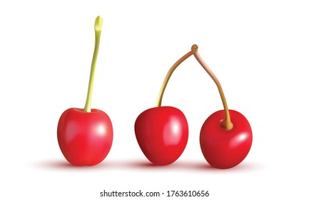 red cherries isolated on white background vector