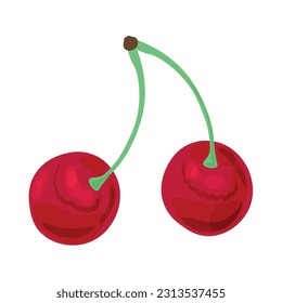 Red cherries on white background