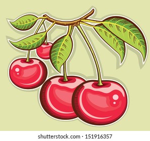 Red cherries .Vector berry illustration isolated 