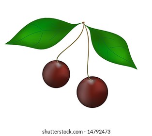 Red Cherry
