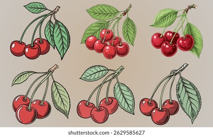 Red cherry berries with a green leaf. Fresh Red Cherries. Cherry with a vibrant green leaf and stem isolated on a background.