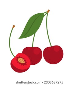 Red cherry berries isolated on white background. Sweet сherry, wild cherry, prunus avium or prunus cerasus icon. Vector fruit illustration in flat style.