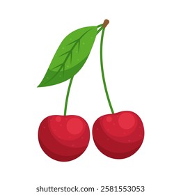 Red cherry berries isolated on transparent background. Sweet сherry, prunus avium or prunus cerasus icon for package design. Vector fruit illustration in flat style.