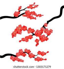 Red cherry blossom isolated on white background. Spring composition with sakura. Vector illustration