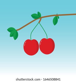 Red Cherry with branches and leaves flat design background vector.