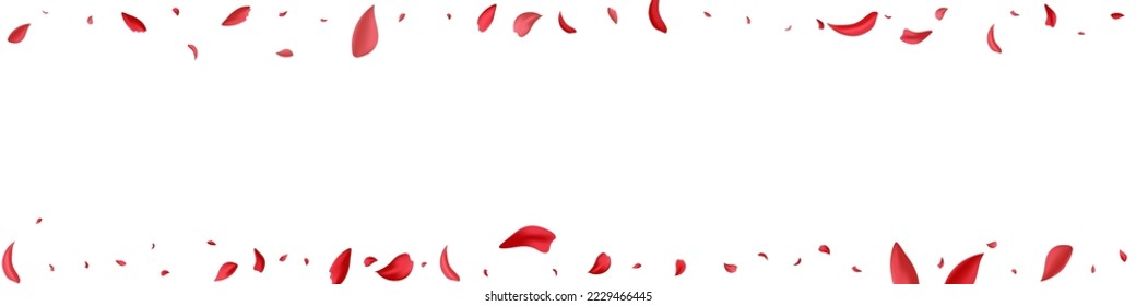 Red Cherry Flying Vector White Panoramic Background. Japanese Sakura Cover. Pink Blossom Beauty Design. Beautiful Floral Fly Texture.