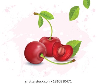 Red Cherry fruit vector illustration with half piece of Cherry and green leaves