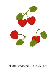 Red cherry with green leaves on white isolated background. 