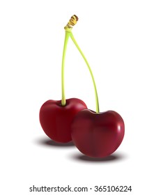 Red Cherry. Illustration of brunch fresh ripe cherry. A couple of red berries. Clip art with title