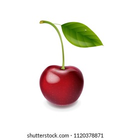 Red Cherry Isolated With Gradient Mesh, Vector Illustration