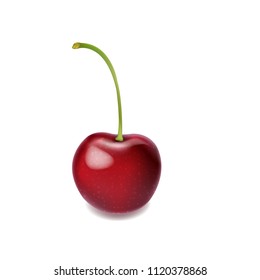 Fondo Blanco Aislado De Cerezo Rojo Con Malla Gradiente, Ilustración Vectorial