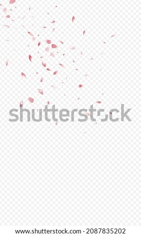 Red Cherry Japanese Vector Transparent Background. Spring Peach Cover. Delicate Flower Summer Frame. Beautiful Blossom Blur Backdrop.