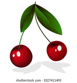 red cherry with leaves