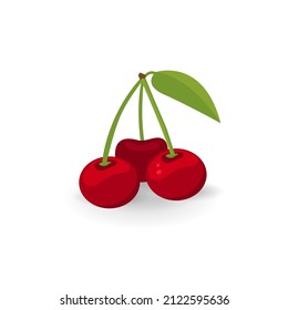 Red cherry on white isolated background. Summer fruit vector illistration.