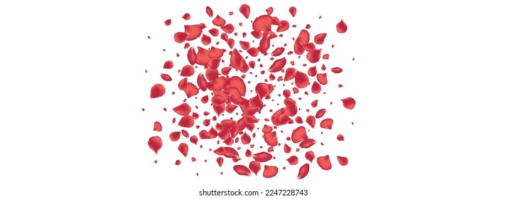 Red Cherry Spring Vector Panoramic White Background. Falling Peach Banner. Delicate Blossom Flying Texture. Beautiful Petal Japanese Cover.