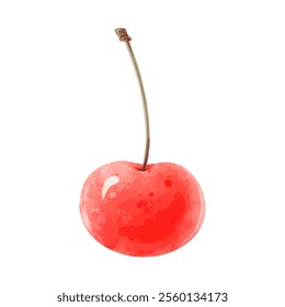 Red cherry with stem. Vector watercolor berries