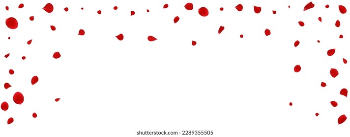 Red Cherry Summer Vector Panoramic White Background. Japanese Peach Pattern. Beautiful Petal Flying Template. Pink Lotus Beauty Illustration.