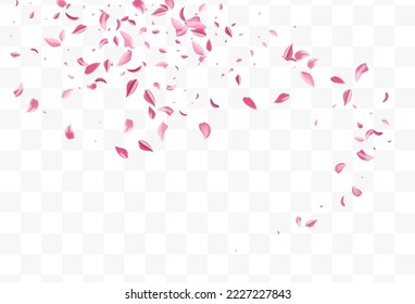 Red Cherry Summer Vector Transparent Background. Flying Petal Template. Pink Flower Fall Cover. Delicate Sakura Blur Wallpaper.
