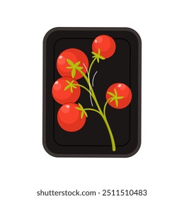 Red cherry tomato sprig in rectangular plastic tray, top view vector illustration