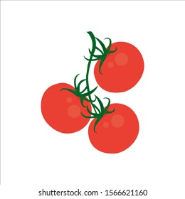 Red cherry tomatoes. vector graphic.