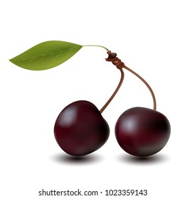 Red cherry. Two ripe berries with stalk. Sweet fruits. Cherries isolated on transparent background