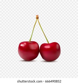 Red cherry. Two ripe berries with stalk. Sweet fruits. Cherries isolated on transparent background