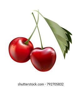 Red cherry. Two ripe berries with stalk. Realistic vector illustration. 3d vector.