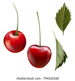 Red cherry. Two ripe berries with stalk. Realistic vector illustration. 3d vector.